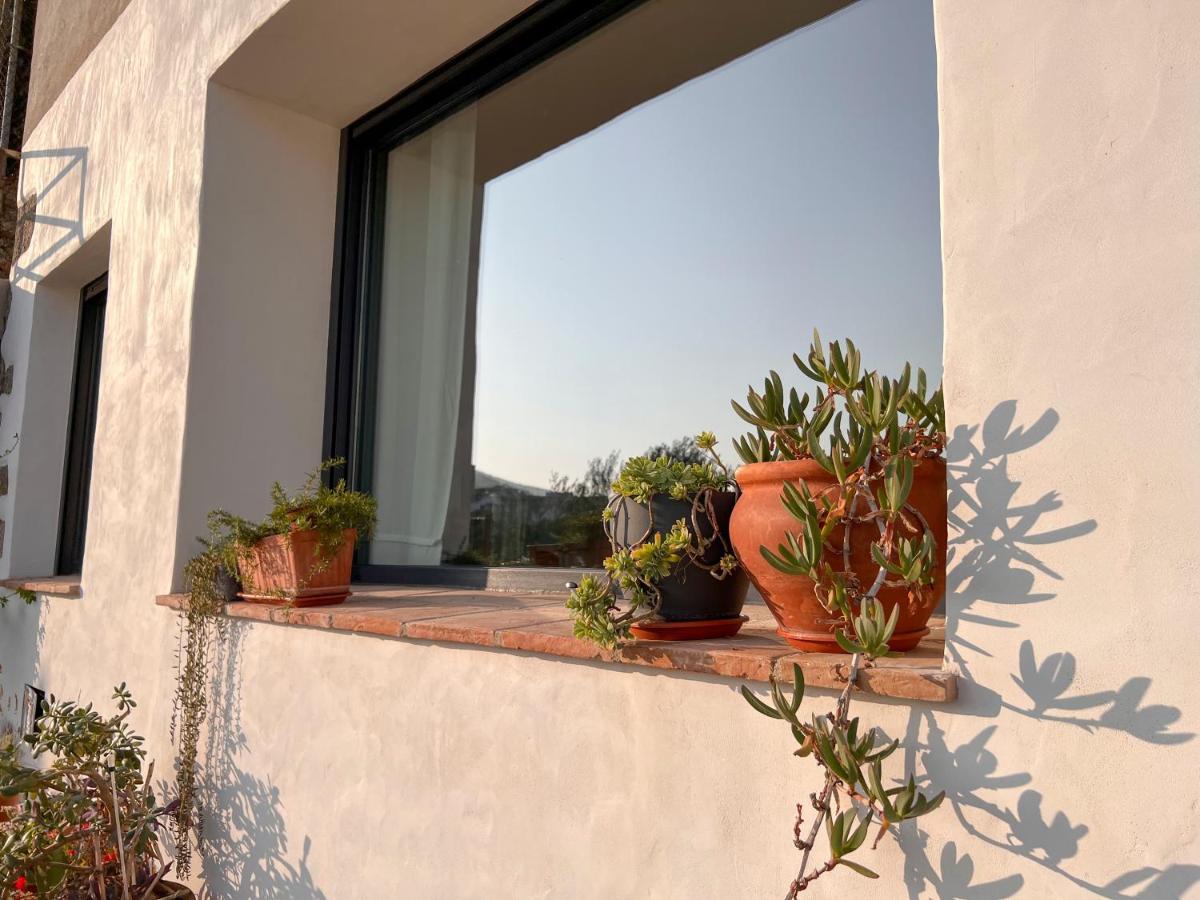Apartamento Atalantar Villanueva De La Vera Exterior photo